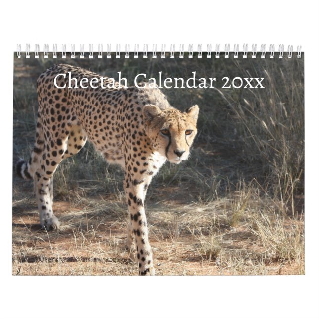 Calendrier Le Cheetah (Acinonyx Jubatus) (Protection)