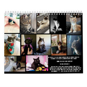 Calendrier Le Daily Mews, Cat Charity Calendar 2025