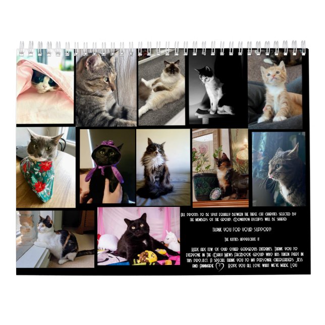 Calendrier Le Daily Mews, Cat Charity Calendar 2025 (Dos)