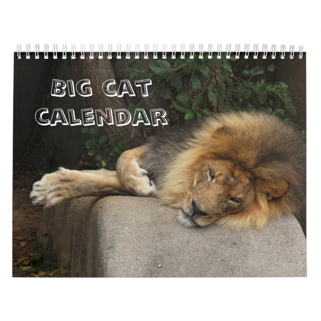 Calendrier Le grand chat choisissent votre année (Protection)