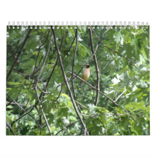 Calendrier Le grand extérieur