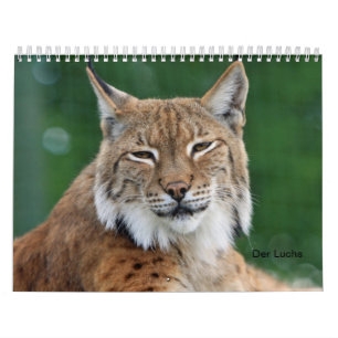 Calendrier Le Lynx