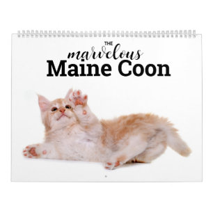 Calendrier Le merveilleux Maine Coon Calender
