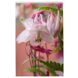 Calendrier Le pouvoir de la fleur