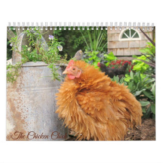 Calendrier : Le troupeau du poussin de poulet