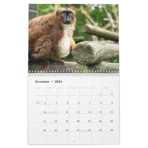 Calendrier Lemur 2025