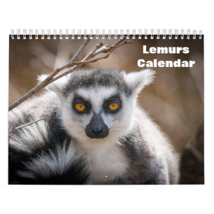 Calendrier Lemurs 2025