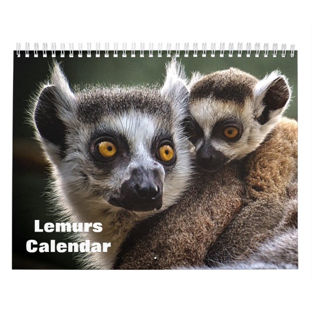 Calendrier Lemurs 2025 (Protection)