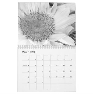 Calendrier L'en de fotografía d'escroquerie de Calendario