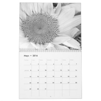 Calendrier L'en de fotografía d'escroquerie de Calendario
