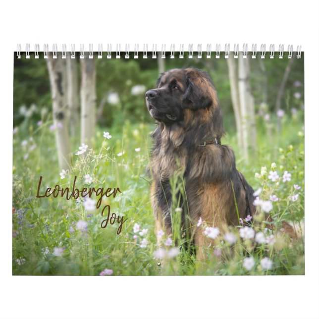 Calendrier Leonberger Joy (Protection)