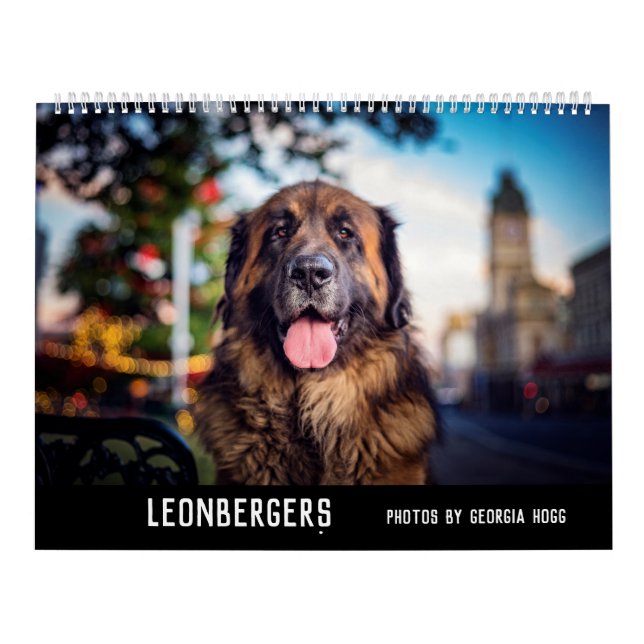 Calendrier Leonbergers (Protection)