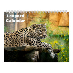 Calendrier Leopard 2025
