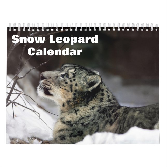 Calendrier Léopard des neiges 2025 (Protection)