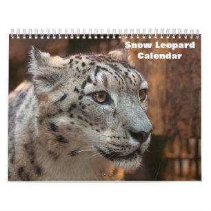 Calendrier Léopard des neiges 2027