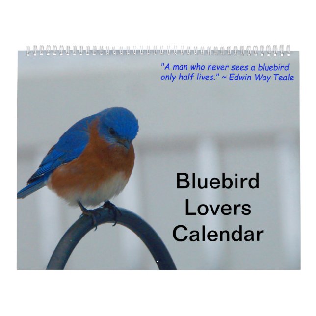 Calendrier Les amateurs de Bluebird (Protection)