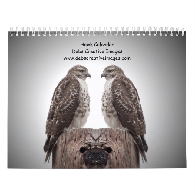 Calendrier Les faucons dans la nature 2026 (Protection)