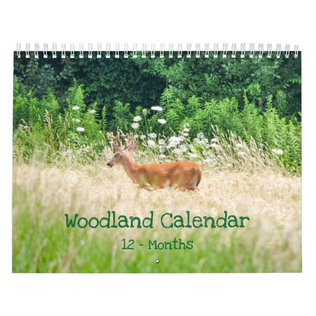 Calendrier Les forêts Créatures Nature (Protection)