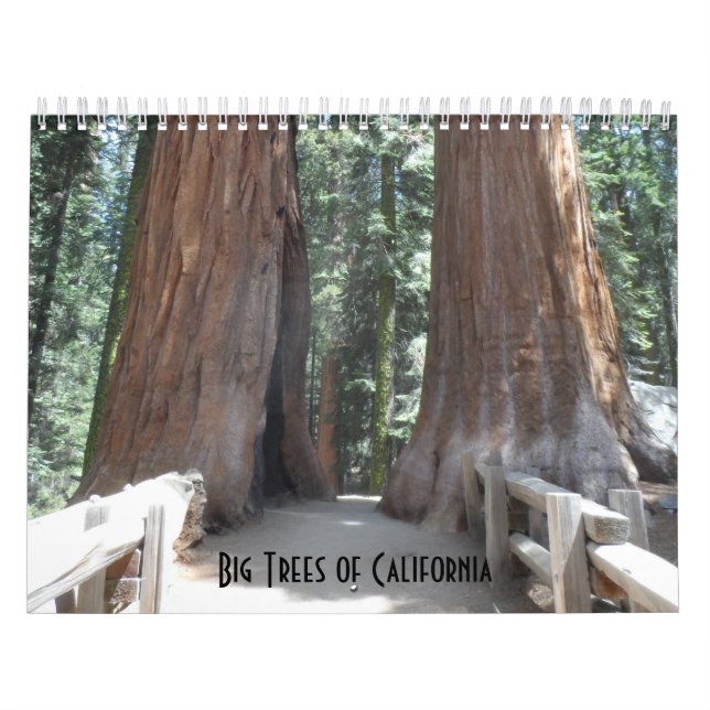 Calendrier Les grands arbres de Californie (Protection)