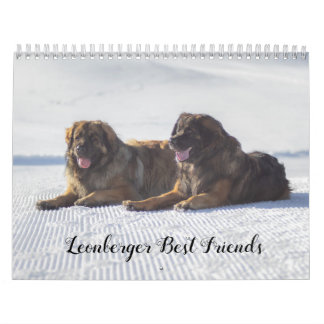 Calendrier Les meilleurs amis de Leonberger