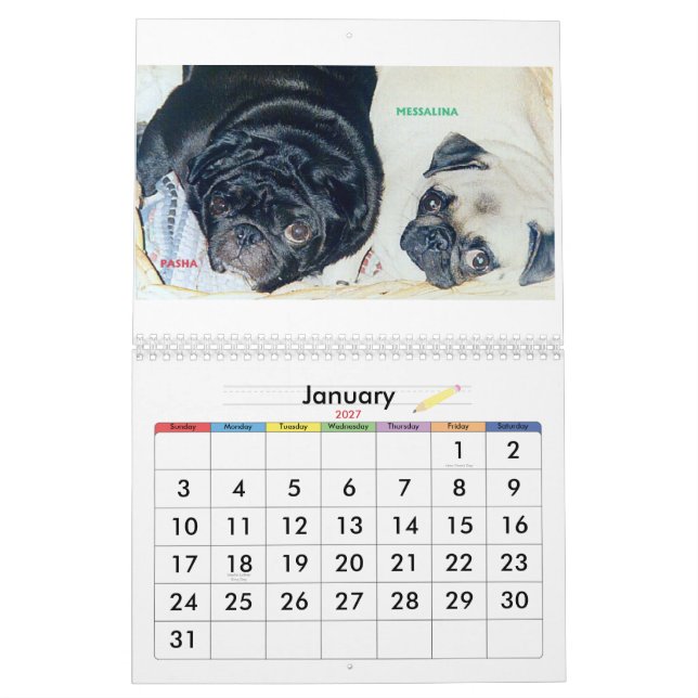 CALENDRIER LES MEILLEURS CARLINS AU MONDE (Jan 2027)