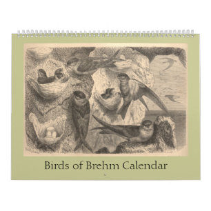 Calendrier Les oiseaux de Brehm
