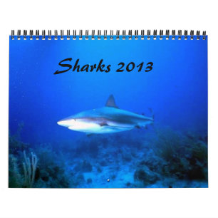 Calendrier Les requins classent 2013