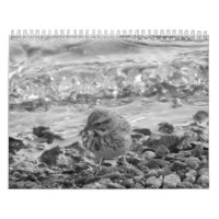 L'escroc fotos de pájaros en de Calendario blanco