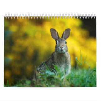 Calendrier Lièvre Lapin, Calendar Rabbit Hares