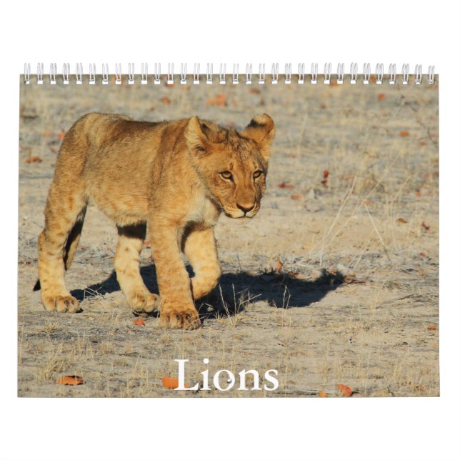Calendrier Lion (Protection)