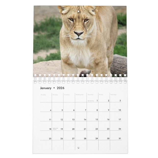 Calendrier Lion (Jan 2026)