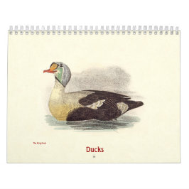 Calendrier Lithographies de canards - de Birds of New York -