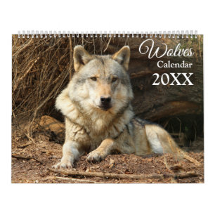 Calendrier Loups Loup Faune Mur Animal