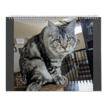 M. Chiot-Chaussette Calendar