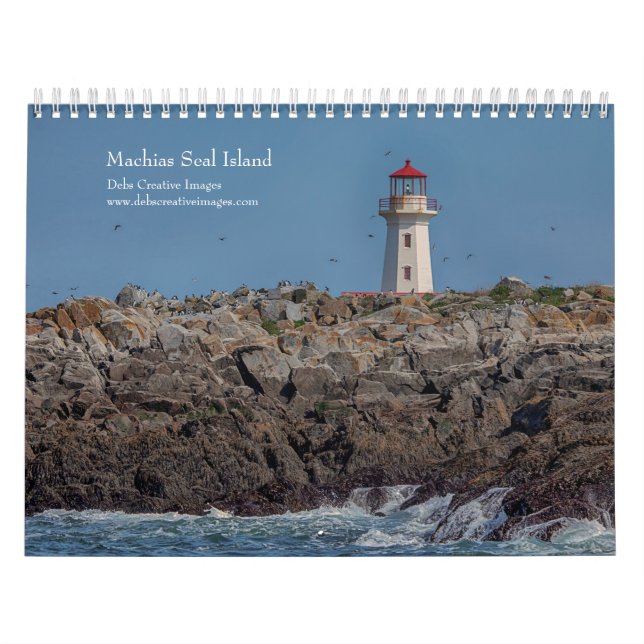 Calendrier Machias Seal Island (Puffins) 2026 (Protection)