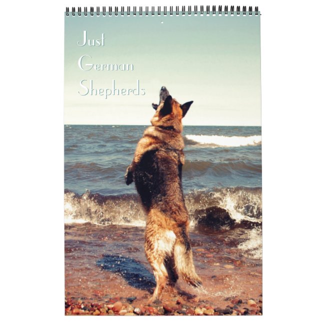 Calendrier magnifique de berger allemand (Protection)