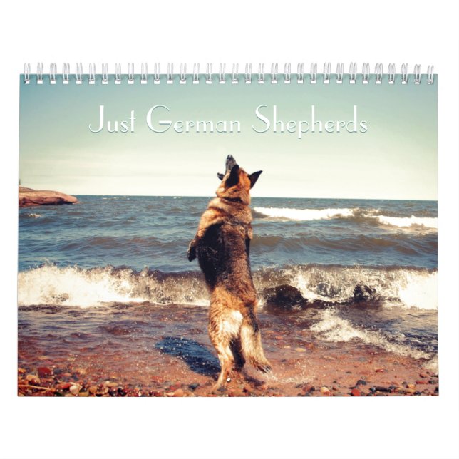 Calendrier magnifique de berger allemand (Protection)
