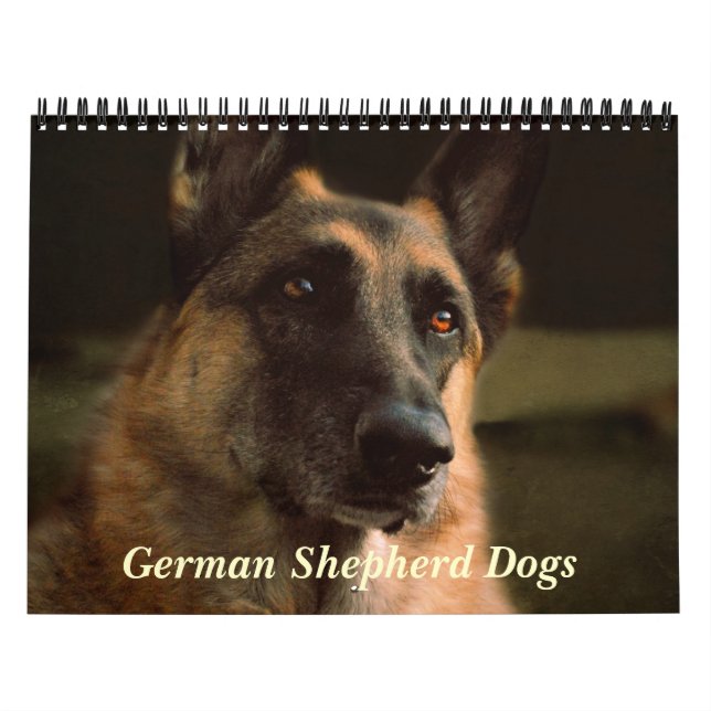 Calendrier magnifique de chien de berger allemand (Protection)