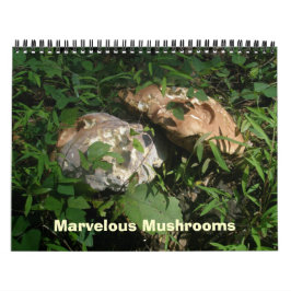 Calendrier - Magnifiques champignons