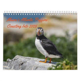 Calendrier Maine’s Atlantic Puffins: Coasting Into 2026