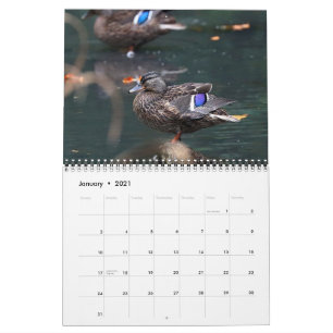 Calendrier Mallards 2021