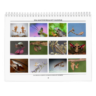 Calendrier Mantidforum haute résolution 2016
