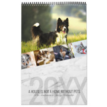Marbre blanc moderne - Photo pour animaux de compa