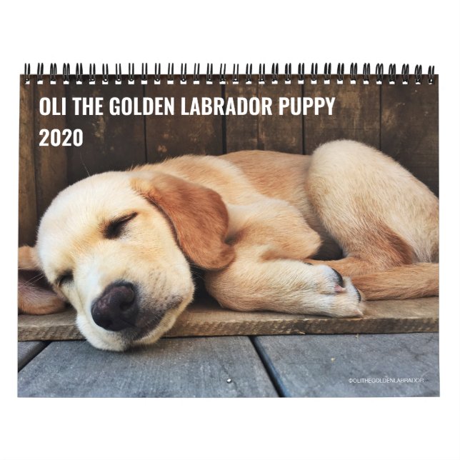 Calendrier Marionnette d'Oli 2020 (Protection)