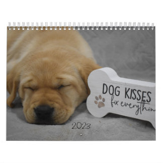 Calendrier Marionnettes Labrador