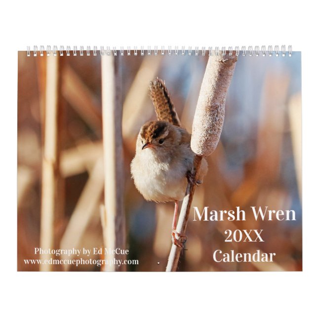 Calendrier Marsh Wren (Protection)