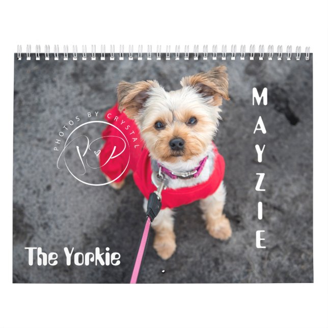 Calendrier Mayzie (Style 2021) (Protection)