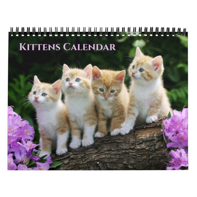 Calendrier Medium Size Kittens Calendar (Protection)