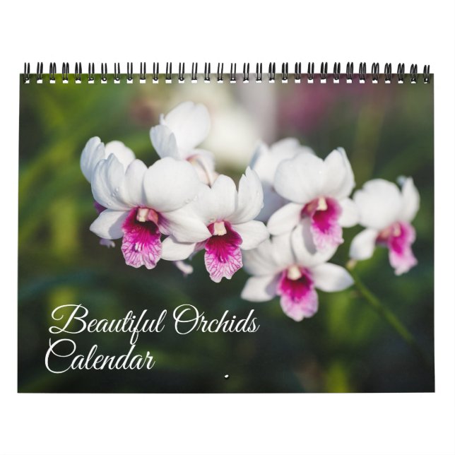 Calendrier Medium Size Orchids Calendar (Protection)