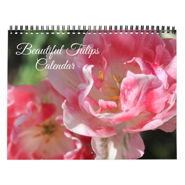 Calendrier Medium Size Tulips Calendar (Protection)